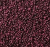 Dark Burgundy